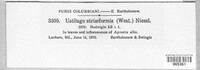 Image Associated With the Occurence